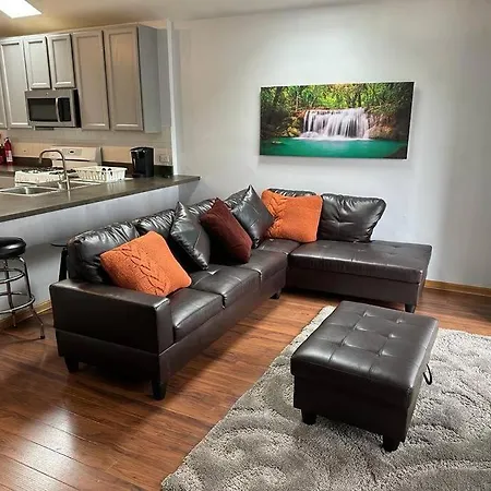 3Br 2Ba Apt Near Rush Hospital